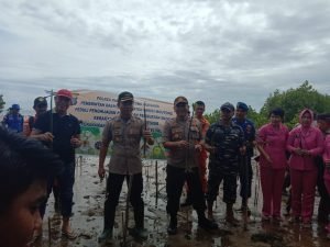 Kapolres Dan Pemda Budidayakan Penanaman Mangrove