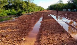 Diduga, Objek Wisata Baru Pantai Mosing, Korbankan Mangrove Demi Ambisi Kota Satelite