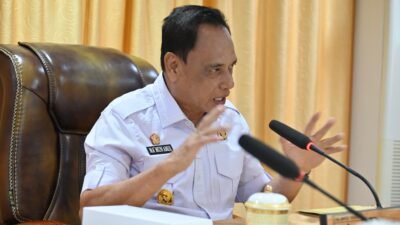 Sulteng Provinsi Kedua Paling Padat Modal Asing Tahun 2023