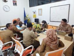 Rekrutmen PPPK 2024, Pemda Parimo Bakal Perjuangkan Nasib Tenaga Honorer