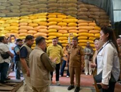 Direktur Bapanas Tinjau Mutu Beras Bantuan Pangan di Parigi Moutong