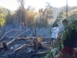 Kebakaran Kebun Sakina Jaya Meluas hingga 10 Hektare, Polisi Ingatkan Ancaman Hukum Pembakar Lahan