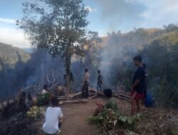 Api Kepung Perkebunan Warga Towera, 5 Hektare Kakao dan Kelapa Hangus Dilalap Si Jago Merah