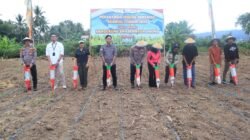 Polres Parigi Moutong Gelar Penanaman Jagung Serentak Dukung Program Swasembada Pangan