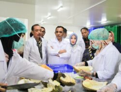 RESMIKAN PACKING HOUSE DURIAN, LANGKAH STRATEGIS PEMDA PARIGI MOUTONG TEMBUS PASAR EKSPOR GLOBAL