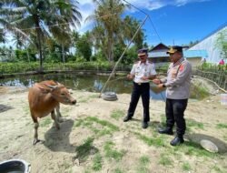 Iduladha Penuh Makna, Kapolres Parigi Moutong Antar Langsung Hewan Kurban ke Ponpes dan Lapas
