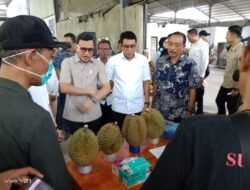 Menembus Pasar Tiongkok, Durian Montong Parigi Moutong Targetkan Ekspor Berkelanjutan