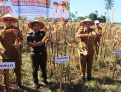 Kejati  Sulteng Dan Pemkab Parigi Moutong Panen Raya Jagung Di Desa Lobu Mandiri, Perkuat Ketahanan Pangan Nasional.