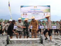 Bupati Parigi Moutong Lakukan Gerakan Tanam Padi Perdana Program Pertanian Modern PM-AAS