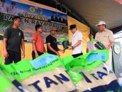 Pemkab Parigi Moutong Perkuat Swasembada Pangan melalui Panen Raya dan Bantuan Benih
